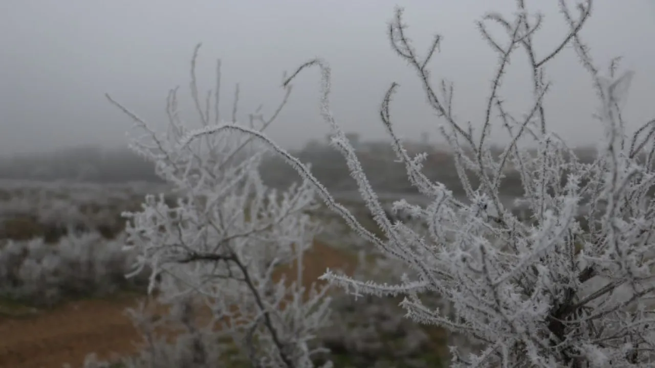تحذير من هيئة الأرصاد حول موجة الصقيع والضباب المستمرة حتى يوم الأربعاء